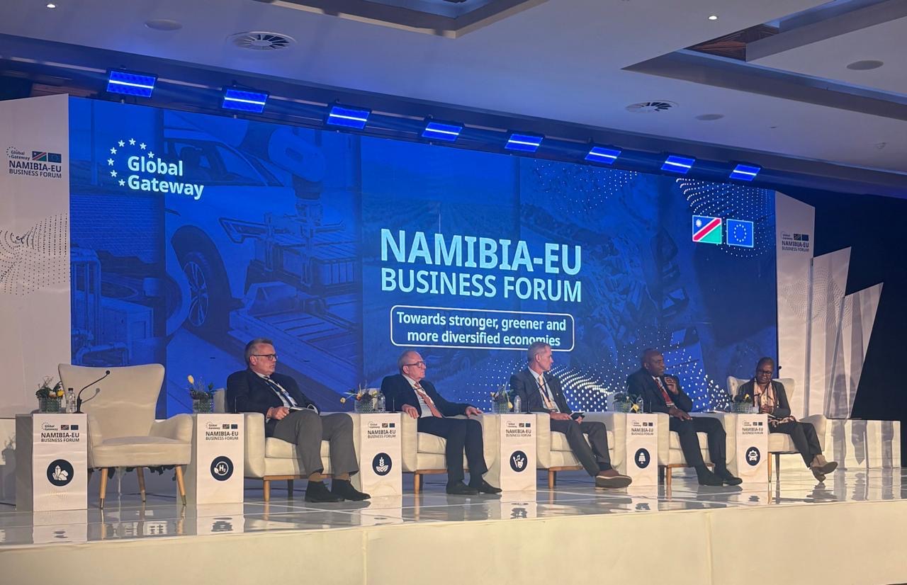 Panel at the 2026 Namibia Business Forum on Raw Materials